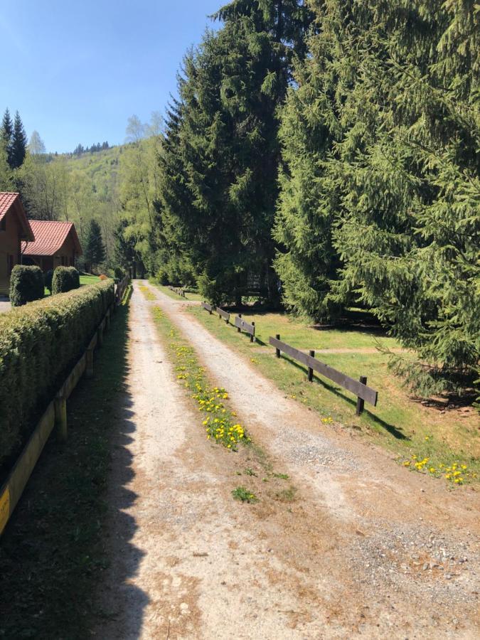 Ferienhaeuser Am Waldschloesschen Лаутентхаль Экстерьер фото