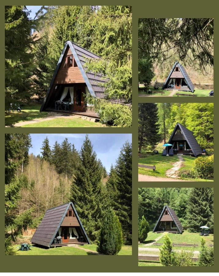 Ferienhaeuser Am Waldschloesschen Лаутентхаль Экстерьер фото